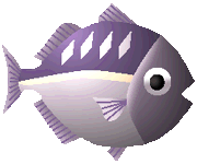 魚