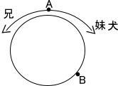 速さのつるかめ算中学受験