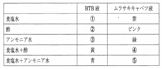 プロ家庭教師集団桜蔭中学