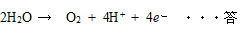 化学反応式