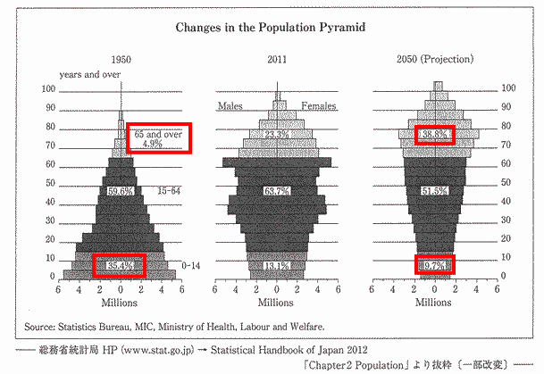 changes in the population pyramid